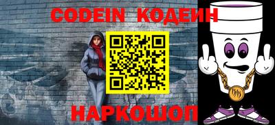 крисы Можга