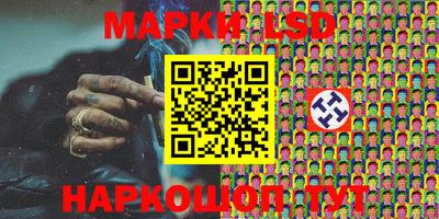 крисы Можга