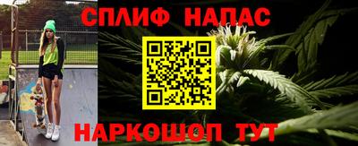 крисы Можга
