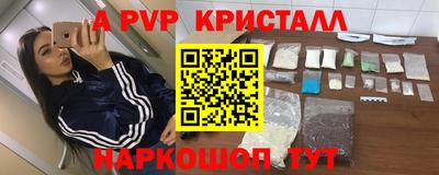 крисы Можга