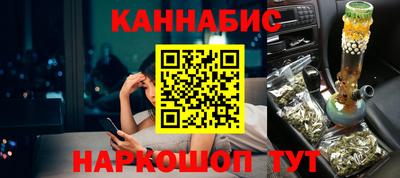 крисы Можга