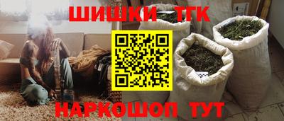 крисы Можга