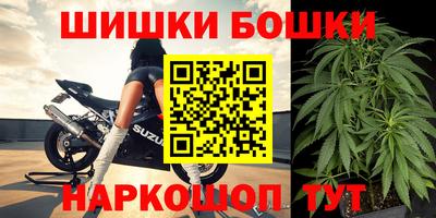 стаф Моздок