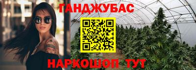 крисы Можга