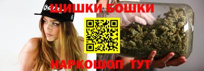 крисы Можга