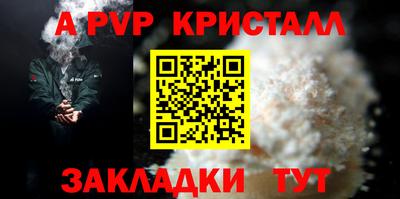 крисы Можга
