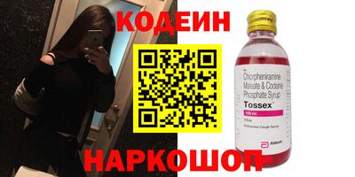 крисы Можга