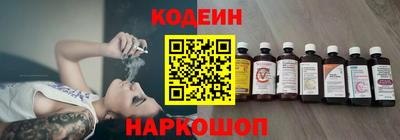 крисы Можга