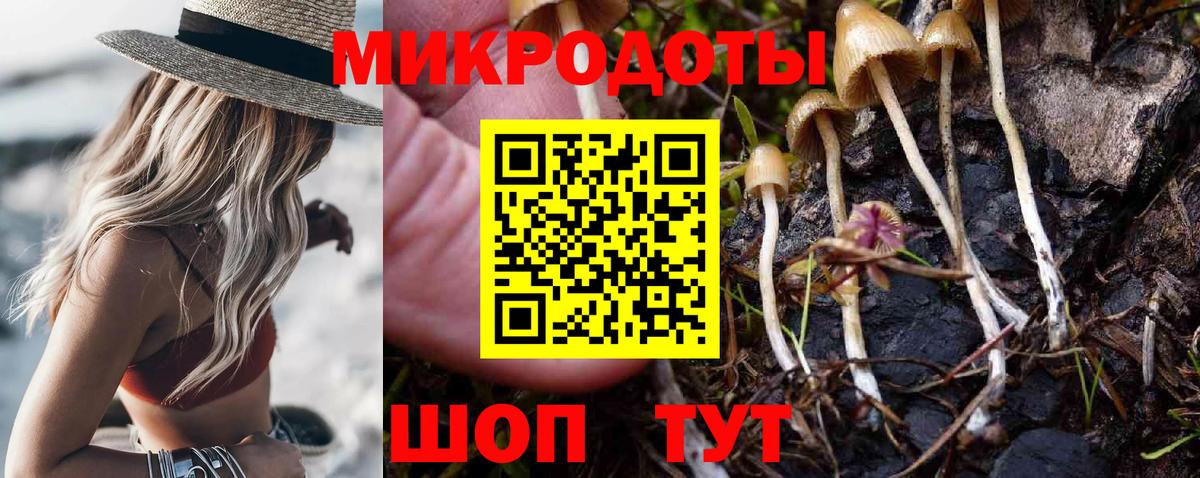 Псилоцибиновые грибы прущие грибы Серов